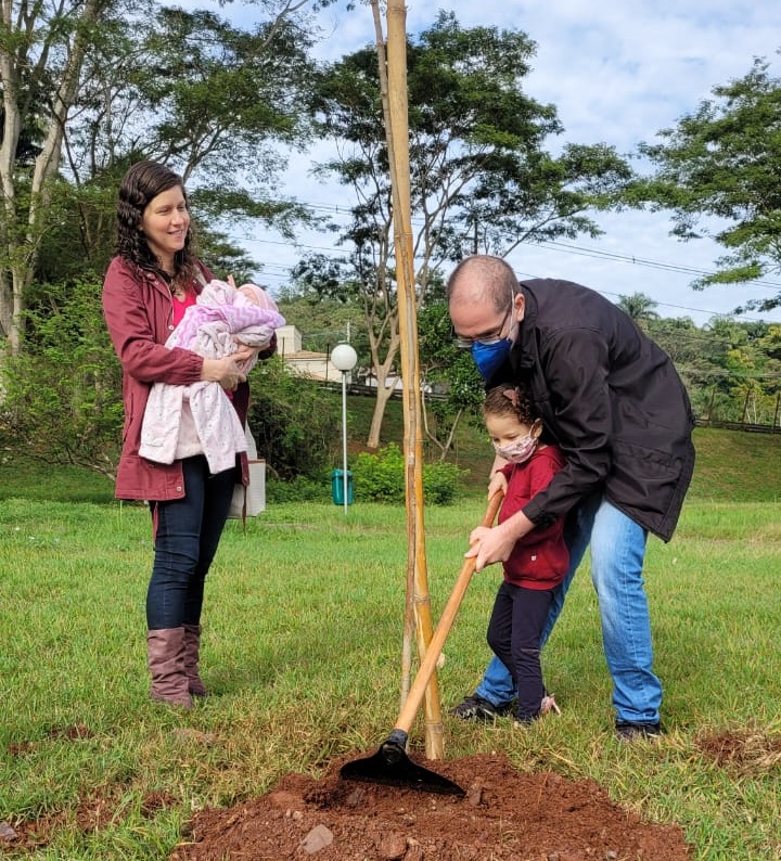 Programa Plante Vida Realiza O Plantio De 40 Mudas De árvores Nativas Portal Do Município De 8743